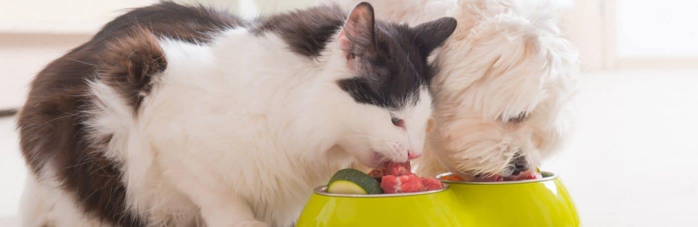 banner for probiotics