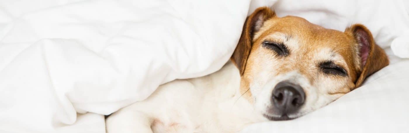 calming banner